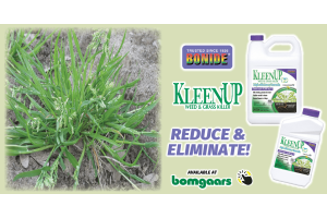 KleenUP Weed & Grass Killer