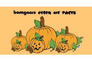 Bomgaars Fall Color Me 