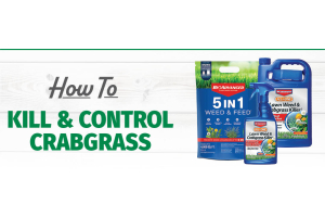 How to Kill and Control Crabgrass