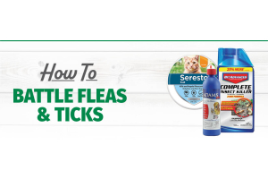 Battling Fleas and Ticks: Effective Strategies for Pets and Homes