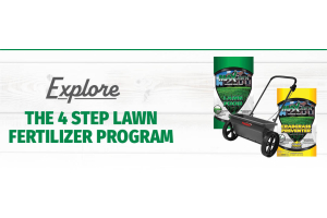 A 4-Step Lawn Fertilizer Program