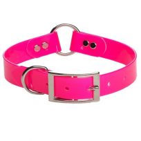 Mendota Pet Safety Collar, 64416, Pink, 1 IN x 16 IN