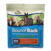 MannaPro® Bounce Back Powder, 1000352