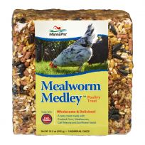 MannaPro® Mealwrom Medley Poultry Treats, 1000205