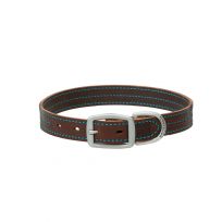 Terrain D.O.G. Bridle Leather Dog Collar, 06-2032-T1-19, Brown / Hurricane Blue, 1 IN x 19 IN