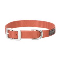Terrain D.O.G. Nylon Single-Ply Dog Collar, 07-0931-S7-17, Coral, 3/4 IN x 17 IN