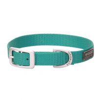 Terrain D.O.G. Nylon Single-Ply Dog Collar, 07005-12-15-198, Mint, 3/4 IN x 15 IN