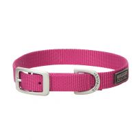 Terrain D.O.G. Nylon Single-Ply Dog Collar, 07005-12-17-04, Pink, 3/4 IN x 17 IN