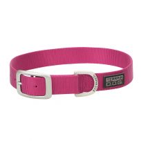 Terrain D.O.G. Nylon Single-Ply Dog Collar, 07005-16-21-04, Pink, 1 IN x 21 IN