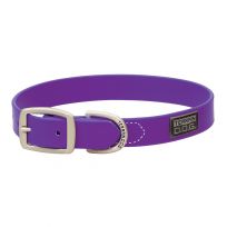 Terrain D.O.G. Brahma Webb Dog Collar, 07030-16-25-05, Purple, 1 IN x 25 IN