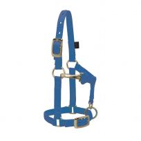 Weaver Equine Miniature Horse Adjustable Chin and Throat Snap Halter, 35-4800-BL, Blue, Average
