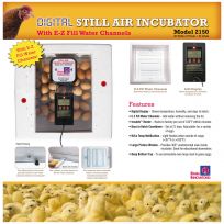 Farm Innovators Digital Still Air Incubator, 2150