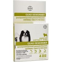 Bayer Dewormer for Small Dogs 2-25 LB, 9113351