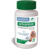 Advantus Flea Soft Chews for Large Dogs 23-110 LB, 9454461