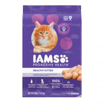 IAMS Healthy Kitten Dry Cat Food with Chicken Kibble, 10178693, 16 LB Bag