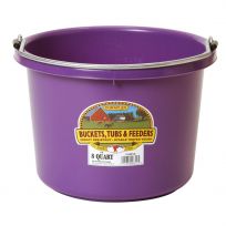 Little Giant Plastic Bucket, Purple, P8PURPLE, 8 Quart