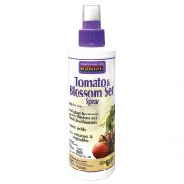 Bonide Tomato & Blossom Fertilizer Spray, 543, 8 OZ