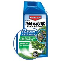 BioAdvanced 12 Month Tree & Shrub Protect & Feed II, Concentrate, BY701810A, 1 Quart