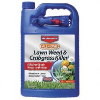 Bioadvanced All-In-One Lawn Weed & Crabgrass Killer, BY704130A, 1 Gallon