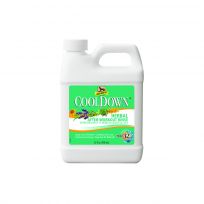 Absorbine Cooldown Herbal After-Workout Rinse, 427870, 32 OZ