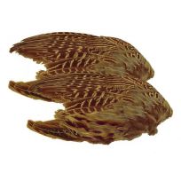 Classic T Two Pack Dried Pheasant Wings, 63485210060