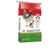 Purina Feed Premium Flock Raiser Crumbles, 3003340-305, 40 LB Bag