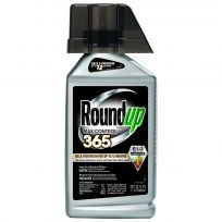Roundup Concentrate Max Control 365, MS5000610, 32 OZ
