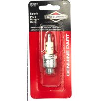 Briggs And Stratton Spark Plug (DIY Packaged  Version of 796112S), 5435K