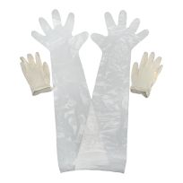 Allen Field Dressing Gloves, 2-Pack, 51
