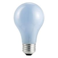 Philips Natural Light Halogen Bulb, 120 V, A19, 226993