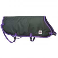 Weaver Livestock Pro Calf Blanket, 35-3597-B1, Black / Purple, Regular