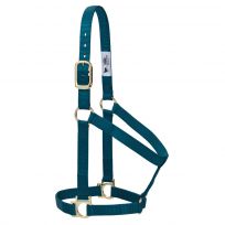 Weaver Leather Basic Non-Adjustable Halter, 35-7405-49, Teal Green, Small