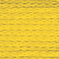 Shoreline Marine Hollow Braid Poly Anchor Line, Yellow, 153499, 1/4 IN x 50 FT