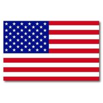 Annin US Flag Car Magnet, 177648