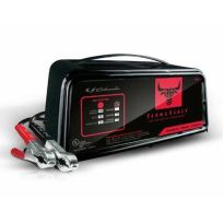 Schumacher Automatic Battery Charger, Engine Starter, and Maintainer, 2/10/50 Amp, 12 Volt, FR01237