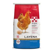 Purina Feed Purina Layena Pelleted Chicken Feed, 3003377-205, 40 LB Bag