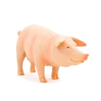 Mojo Pig (Sow), 387054