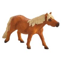 Mojo Shetland Pony, 387231