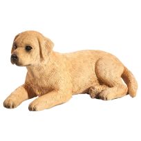 Mojo Labrador Puppy, 387272