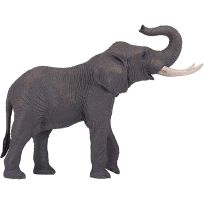 Mojo African Elephant, 381005