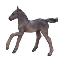 Mojo Arabian Foal Black, 381015