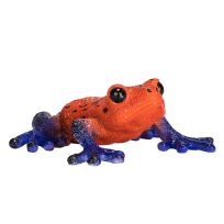 Mojo Poison Dart Tree Frog, 381016