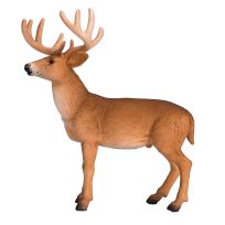 Mojo White Tailed Deer Buck, 387038