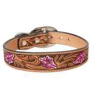 Weaver Pet Collar, 06-2182-19, Pink Floral, 1 IN x 19 IN
