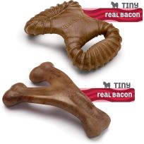 Benebone® Dental Chew / Wishbone Bacon - Tiny, 2-Pack, 645400