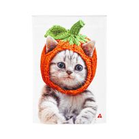 Evergreen Cat with a Pumpkin Hat Garden Satin Flag, 14A10491
