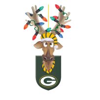 Evergreen Resin Reindeer Ornament, Green Bay Packers, 3OT3811RRO