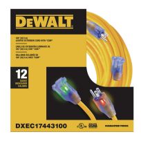 DEWALT Lighted SJTW Extension Cord, 12/3, DXEC17443100, 100 FT