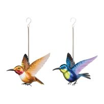 Regal Art & Gift Hummingbird Bouncie Set - Rufous/Woodnymph, 12846