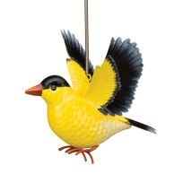 Regal Art & Gift Bird Bouncie - Gold Finch, 12842